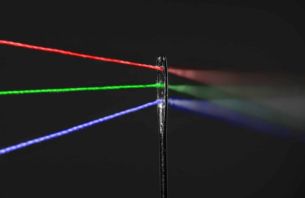 Comment les animaux contribuent-ils à la dispersion des graines et à la régénération des forêts ?